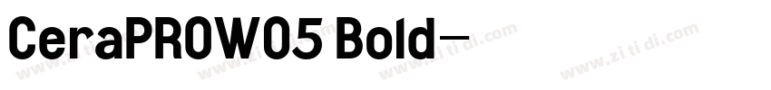 CeraPROW05 Bold字体转换